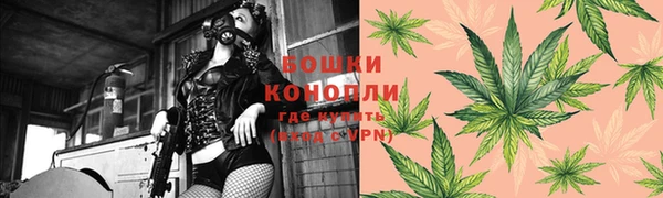 стафф Коряжма
