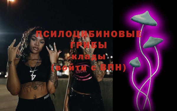 MDMA Козловка
