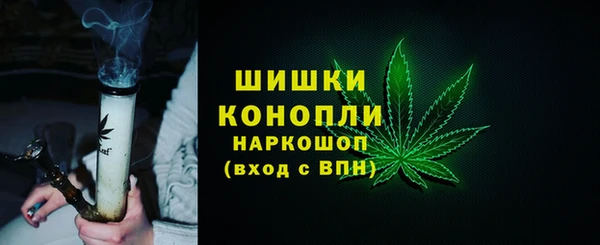прущие крисы Корсаков