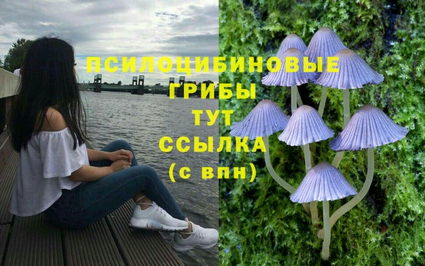 спиды Кодинск