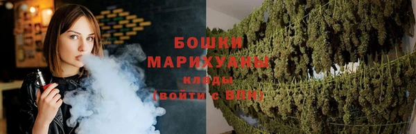 стафф Коряжма