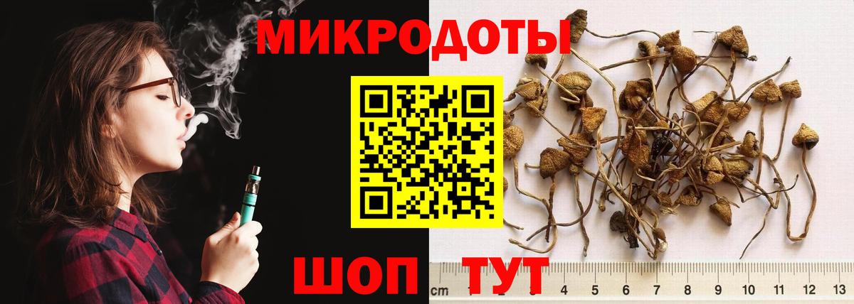 Псилоцибиновые грибы мухоморы Михайловка